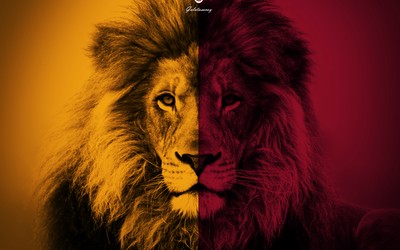 正大体育焦点-三笘薰面对铁桶阵打破僵局