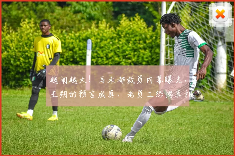 越闹越大！马未都裁员内幕曝光，王朔的预言成真，老员工怒揭真相